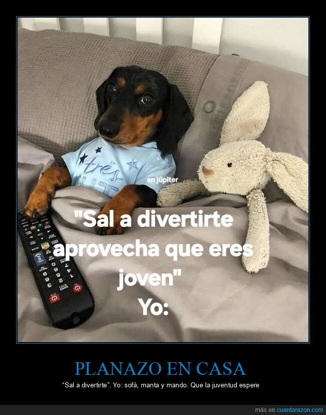 sof&aacute;,mantita,pereza,perro,planes