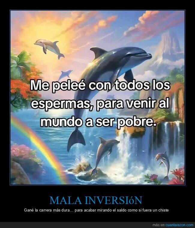 delfines,pobreza,vida,destino,frustraci&oacute;n