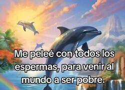 Enlace a Me peleé con todos y me tocó ser pobre