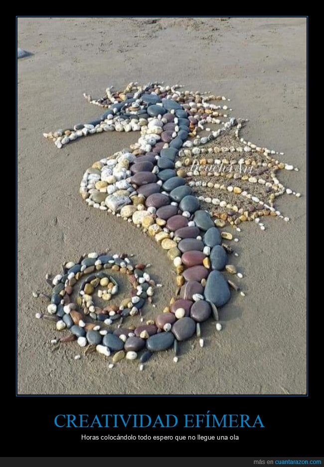 playa,piedras,gecko,arte,ola