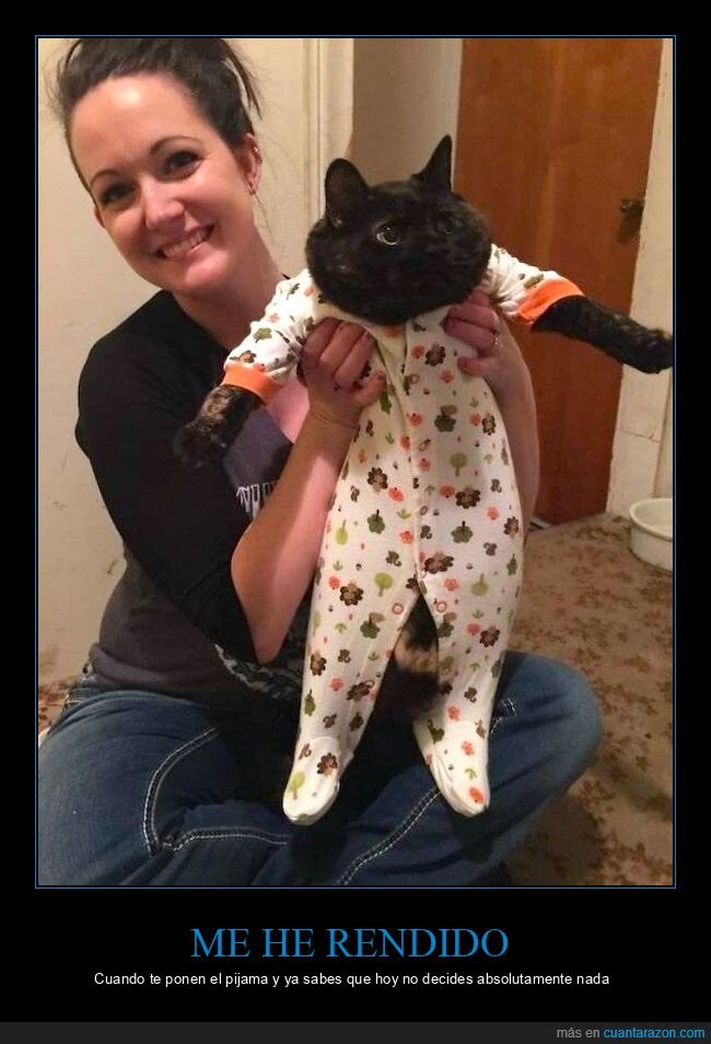 gato,pijama,due&ntilde;a,resignaci&oacute;n,mascota