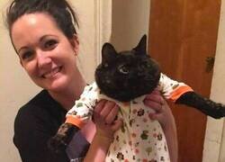 Enlace a Cuando te ponen el pijama y ya sabes que hoy no decides nada