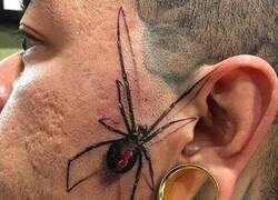 Enlace a Sutil, lo justo