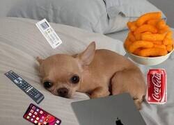 Enlace a Planazo de finde