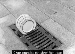 Enlace a Encajas perfecto… en el desagüe