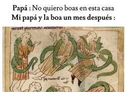 Enlace a Aquí no entran boas… salvo la que ya duerme con papá