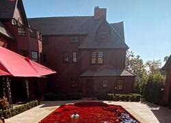 Enlace a Al menos si te haces sangre no se nota nada