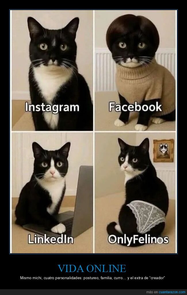 michis,redes,postureo,identidad,parodia