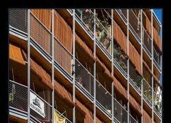 Enlace a Hartos de los pisos cebra con solo cortinas