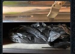 Enlace a Creo que no le caes muy bien a alguien