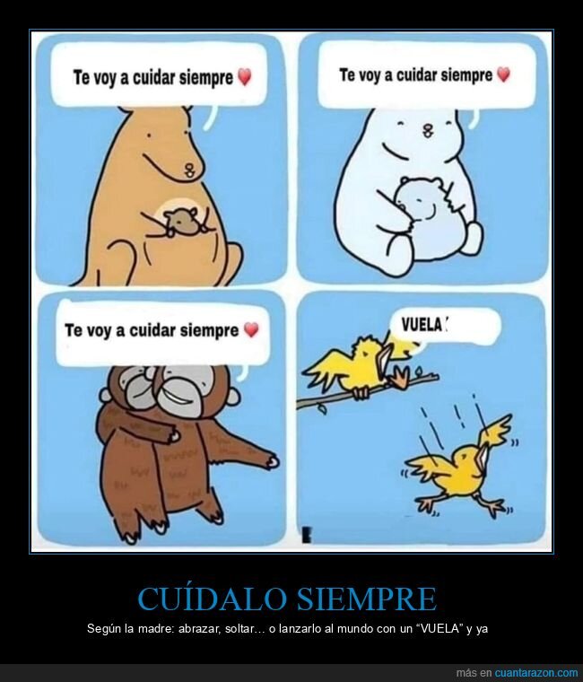 maternidad,crianza,proteccion,independencia,animales