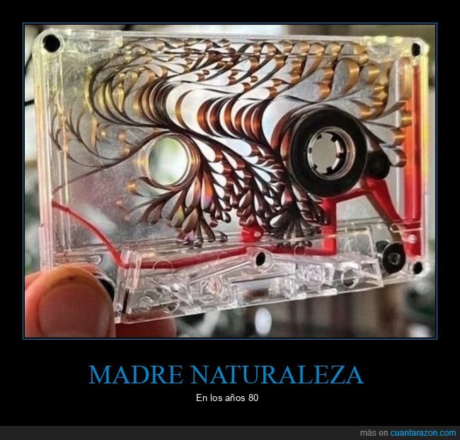 naturaleza,casete,ochenta,nostalgia,rebobinar