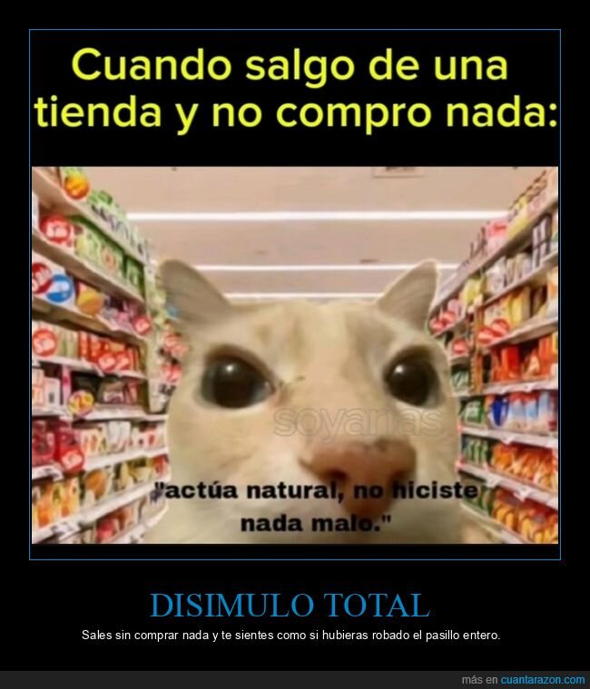 supermercado,gato,disimulo,mirada,culpabilidad