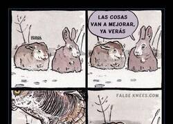 Enlace a Tranquilo, que ya verás… 