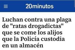 Enlace a No eran ratas: era un control interno