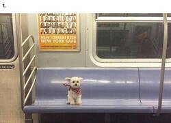 Enlace a Yo también voy al curro, pero con más dignidad