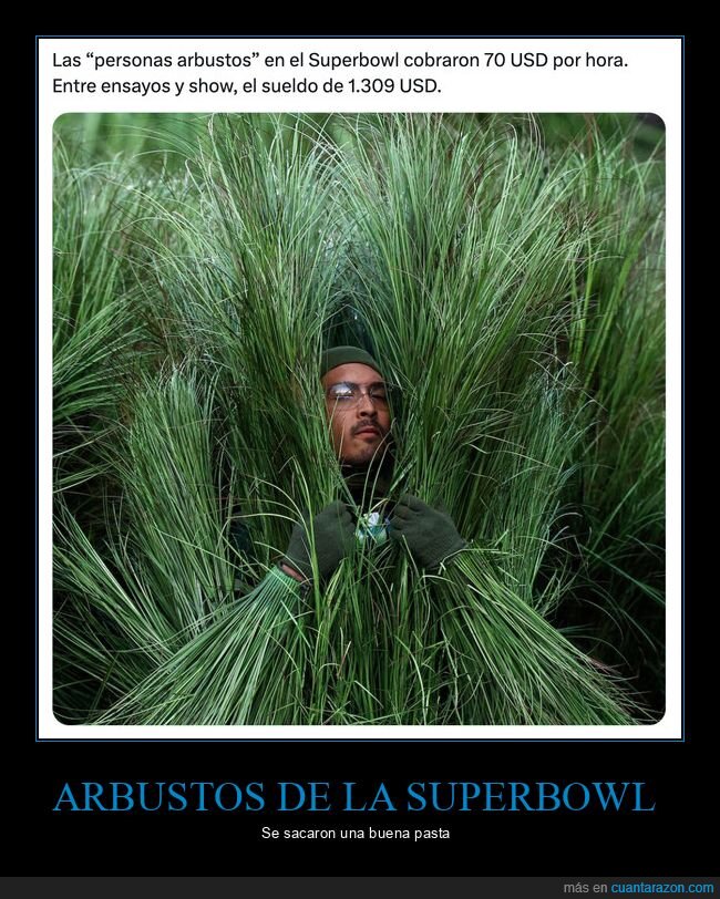 bad bunny,arbusto,superbowl,sueldo