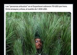 Enlace a Las “personas arbustos” en el Superbowl cobraron 70 USD por hora. Entre ensayos y show, el sueldo de 1.309 USD.