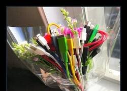 Enlace a Te he traído un ramo de compatibilidad