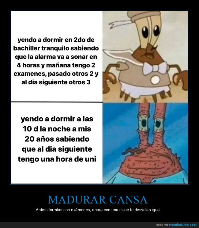 bachillerato,universidad,ex&aacute;menes,sue&ntilde;o,cansancio