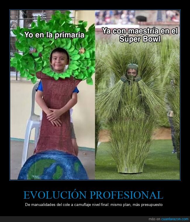 primaria,disfraz,camuflaje,evoluci&oacute;n,arbusto