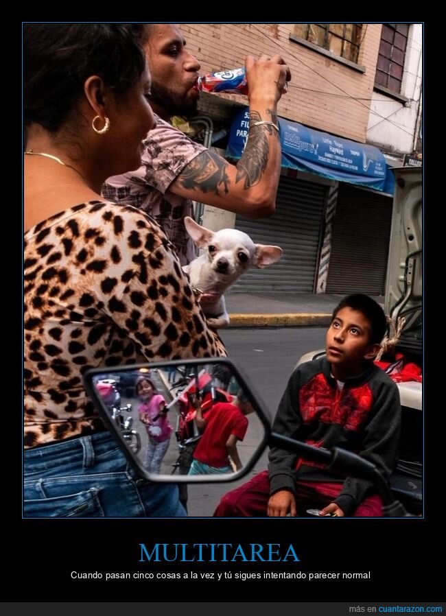caos,calle,mirada,chihuahua,moto