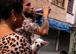 Enlace a Aquí cada uno va a su bola