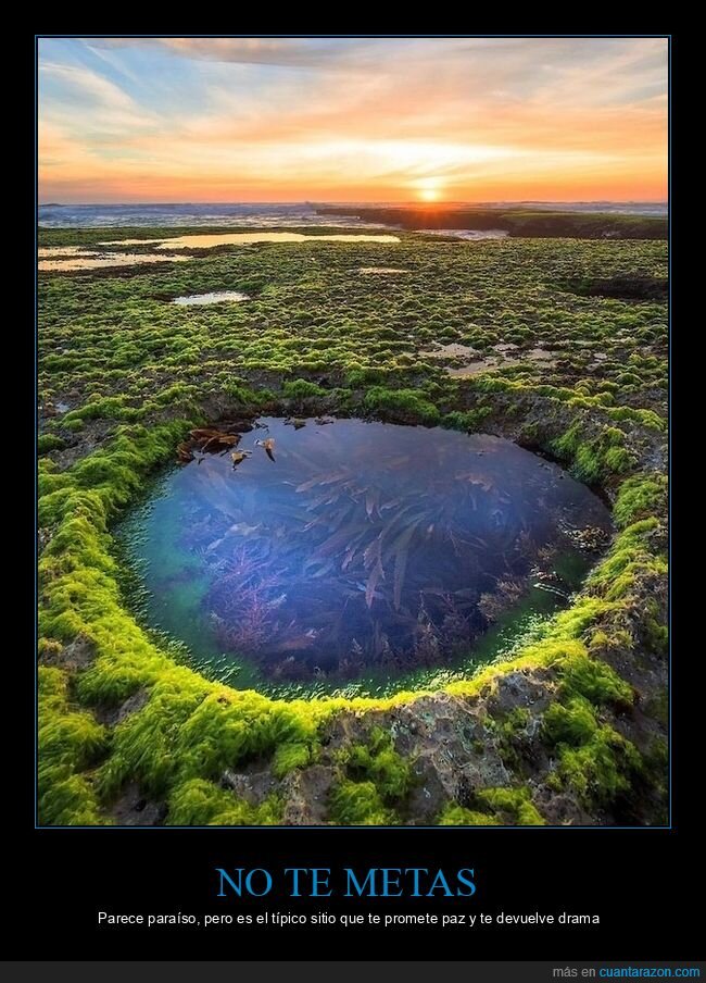 charco,naturaleza,trampa,curiosidad,paisaje