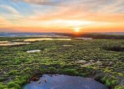 Enlace a Qué bonito… hasta que te acuerdas de que la curiosidad no tiene seguro