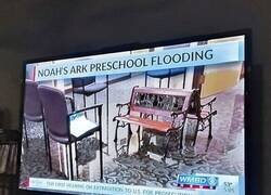 Enlace a Si se llama Arca de Noé, no era por decoración