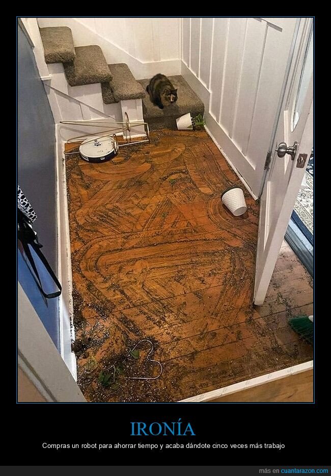 roomba,desastre,limpieza,caf&eacute;,caos