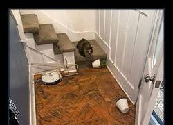 Enlace a Me compré una Roomba para que limpiara… y se ha puesto a trolearme