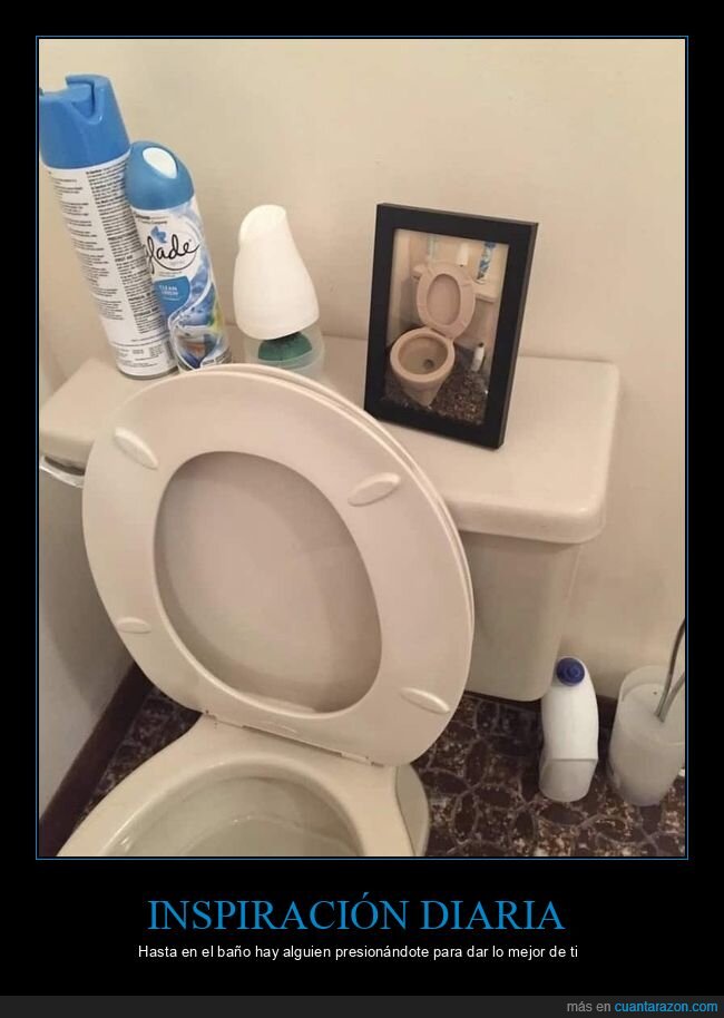 ba&ntilde;o,inodoro,decoraci&oacute;n,marco,absurdo