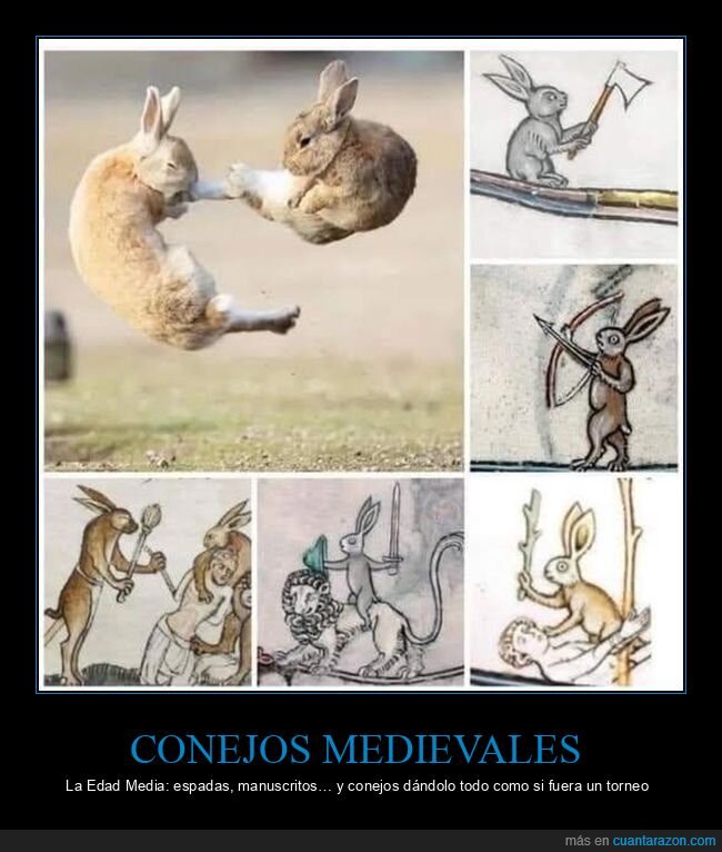 conejos,EdadMedia,manuscritos,espadas,batalla