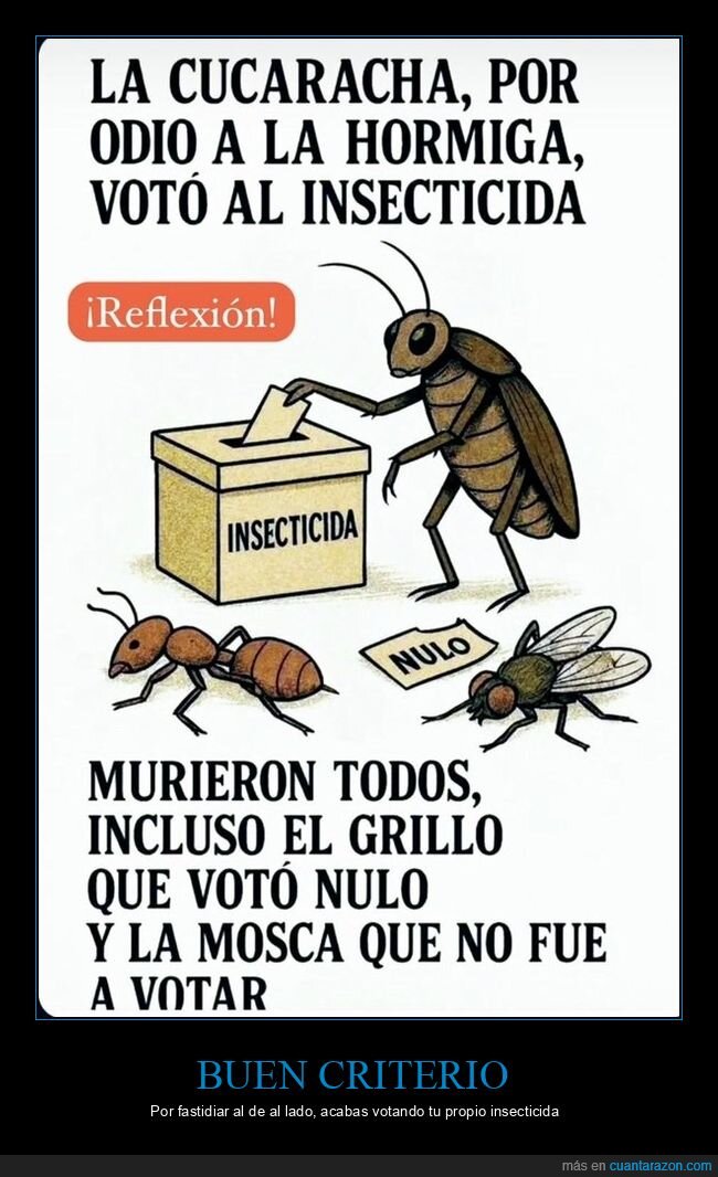 votaci&oacute;n,insecticida,cucaracha,despecho,reflexi&oacute;n