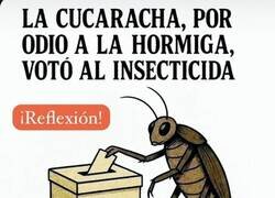 Enlace a Votando por despecho no es la solución