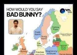 Enlace a Soy muy fan del conillet dolent