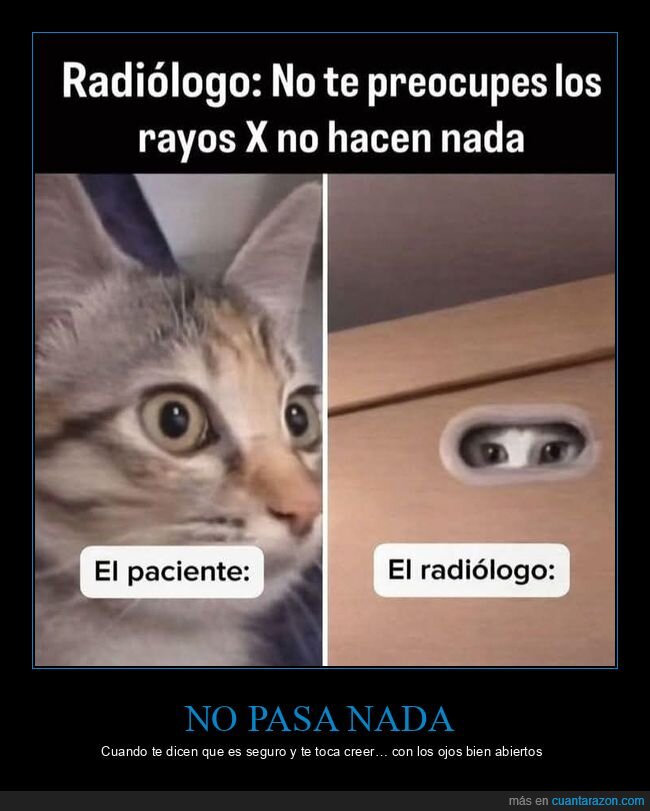 radiolog&iacute;a,rayosX,gato,hospital,miedo