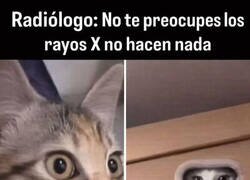 Enlace a Tranquilo, no pasa nada (dijo el que se escondió detrás de la pared)