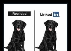 Enlace a Por favor, no seáis así