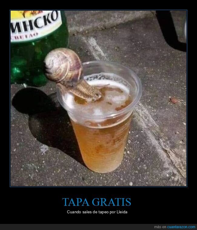 caracol,cerveza,botell&oacute;n,sorpresa