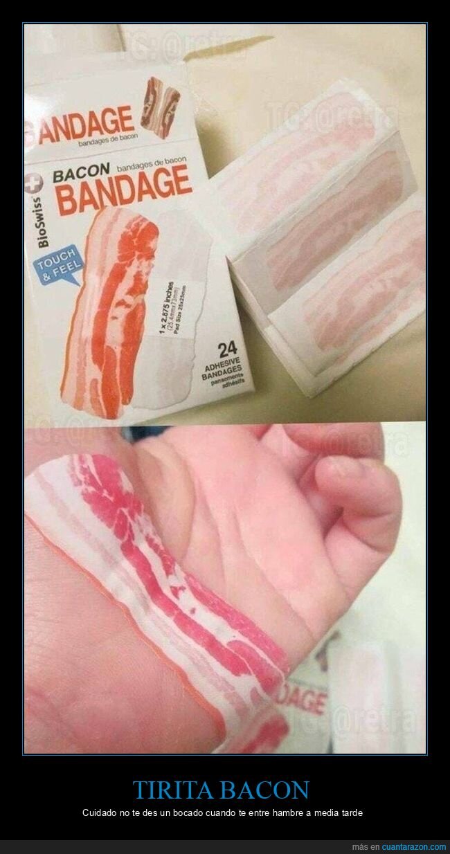 bacon,tirita,vendaje,comida,absurdo