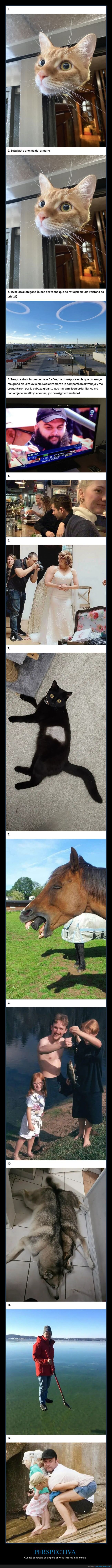 perspectiva,confusi&oacute;n,ilusi&oacute;n,cerebro,absurdo