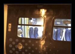 Enlace a 8:31 de la mañana y lo acabamos de dejar en el autobús