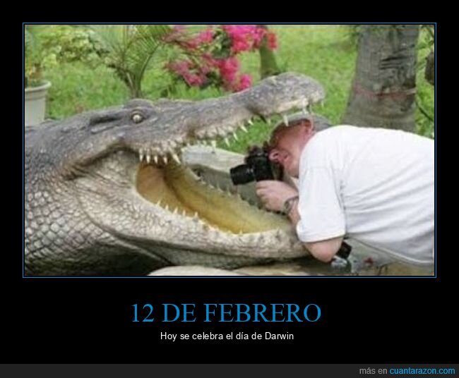 Darwin,cocodrilo,fotografo,riesgo,evolucion