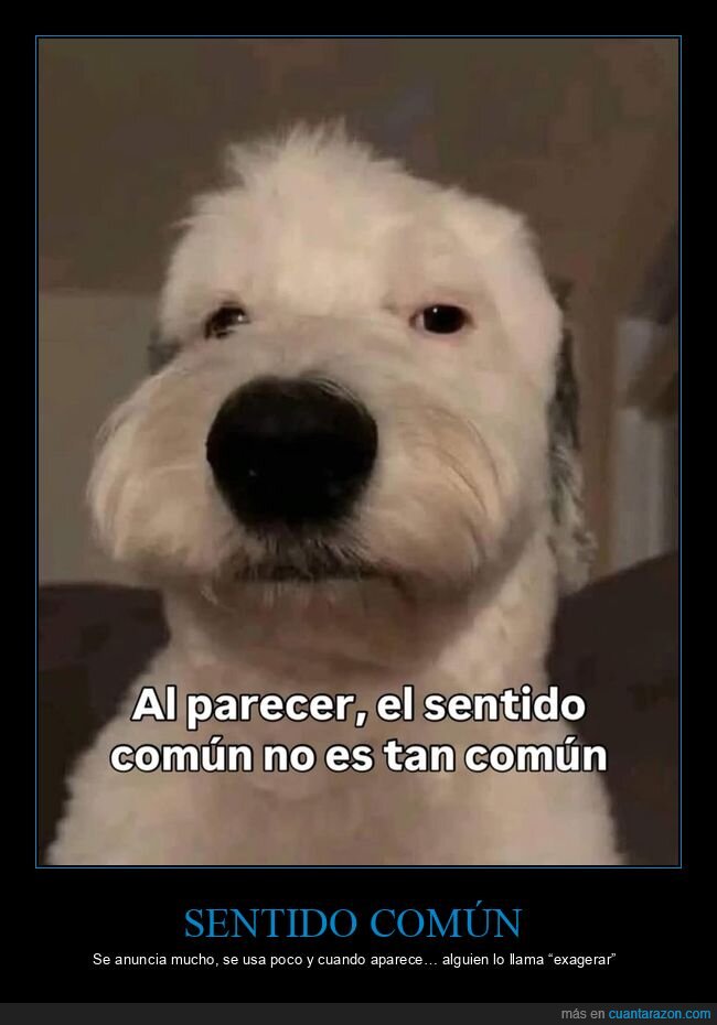perro,sentidocomun,cara,frases,sarcasmo