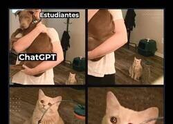 Enlace a No estamos siendo justos con ella