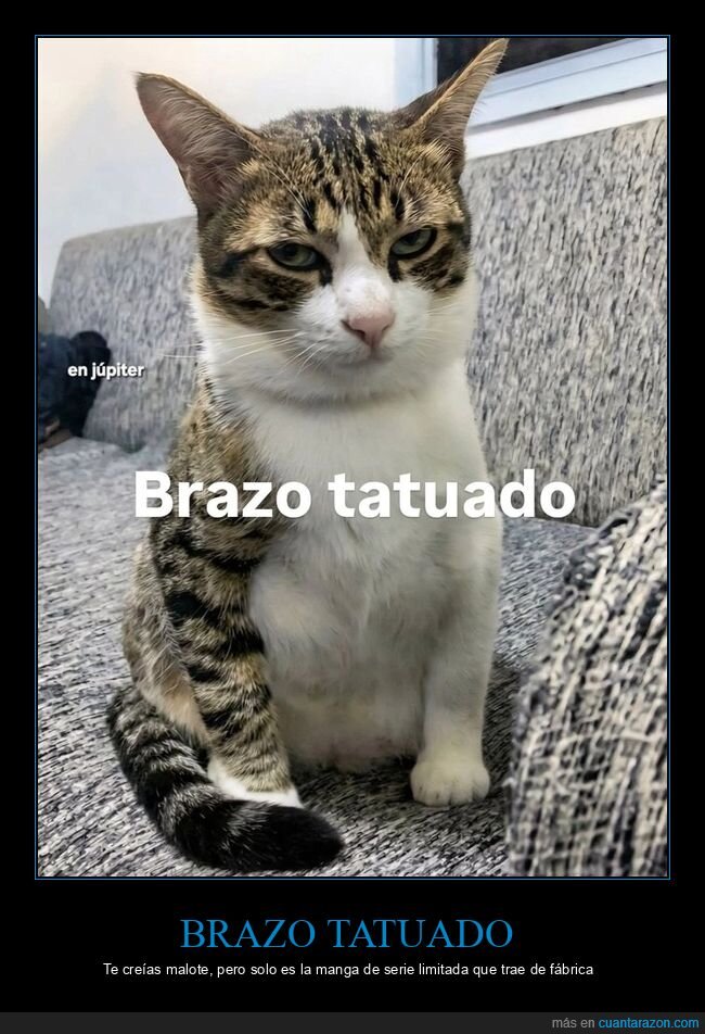 gato,tatuaje,brazo,skin,cara