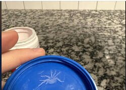 Enlace a Abres el bote y viene con inquilino incluido