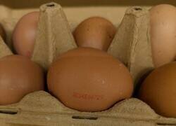 Enlace a Cómo está el patio, acabo de ver a una persona cambiando los huevos de caja, para llevarse camperos por normales